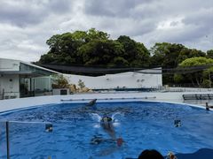-西海国立公园九十九岛水族馆