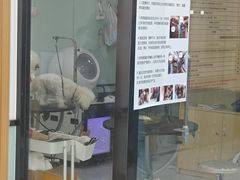 -中农大我爱我爱动物医院·核磁CT·猫病·24小时夜诊中心(石佛营店)