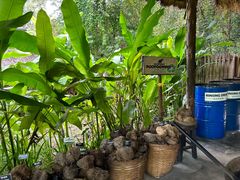 -大象粑粑造纸公园