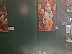 -烹然四季椰子鸡火锅(姚家园万象汇店)