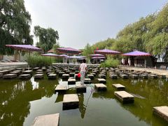 -白洋淀景区