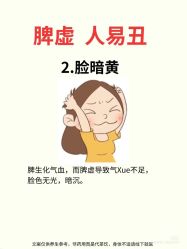 -玛莲朵·海菲秀冰珀科