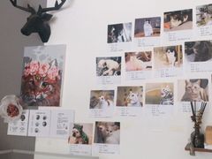 -平行世界·猫咖(首经贸店)