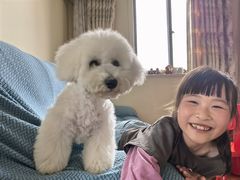 -翊宠yipet猫狗购宠庄园犬舍•猫舍