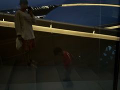 -哈尔滨大剧院