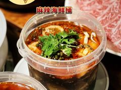 -金龙·打边炉(南京西路店)