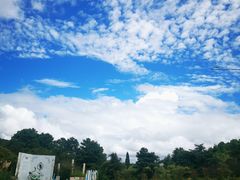 -名花谷生态庄园