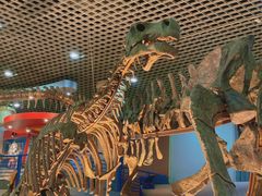 -国家自然博物馆