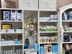 -米苏动物医院·犬猫专科·骨科外科内窥镜