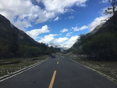 -金鼎雪山牦牛杂火锅(理县总店)