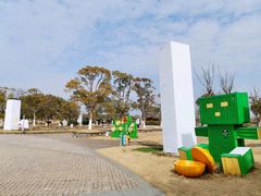 -上海都市菜园
