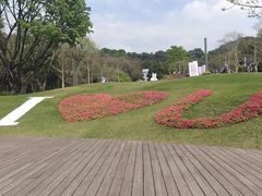 -云溪植物园