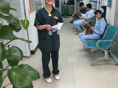 -康乐宝动物医院