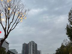 -坂田手造文化街