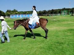 -武汉紫薇都市田园