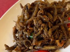 -清水湖度假村(罗浮山美食地标店)