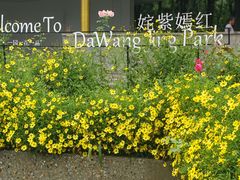 -大望京公园