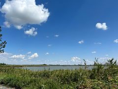 -盐城丹顶鹤湿地生态旅游区