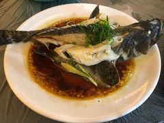 清蒸石斑鱼-覃记海鲜美食餐厅