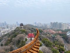 -黄鹤楼公园(黄鹤楼)