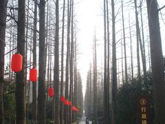 怡沁东路-上海怡沁园度假酒店