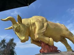 -三亚西岛海洋文化旅游区