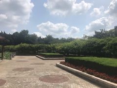 -嘉定紫藤园