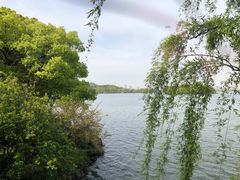 -苏堤停车场