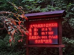 -牛背梁国家森林公园