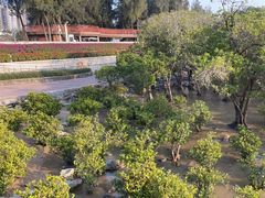 -宝安西湾红树林湿地公园