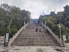 -铁山坪森林公园