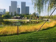 景点-西海子公园