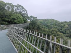 -福道