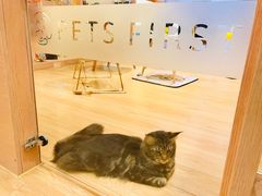 -Pets First伊珊娜洗护·精致美容·家庭式寄养(新会路店)