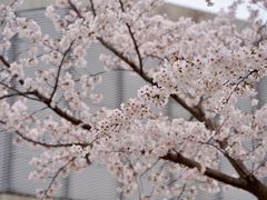 -龙美术馆(西岸馆)