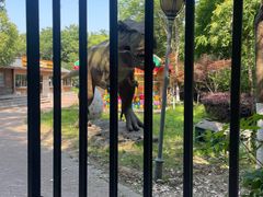 -合肥滨湖国家森林公园