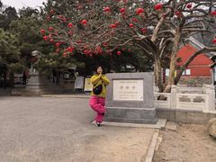 -潭柘寺景区