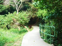 -南丫岛
