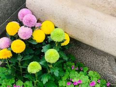 -西林禅寺