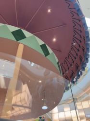 -超级奈尔宝SUPER NEOBIO(杭州星光店)