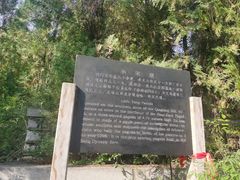 -四门塔风景区