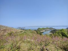 -老味道1992(武当山店)