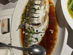 -金美华轩(东方路齐鲁店)