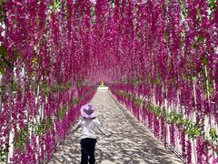 -霸王河欢乐世界