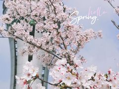 -上海山野camping·户外天幕烧烤·团建拓展营地