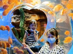 -芜湖新华联大白鲸海洋公园