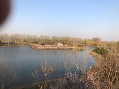 -东郊湿地公园
