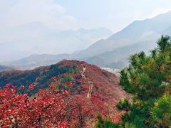 -水峪民俗村
