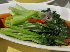 -金美华轩(东方路齐鲁店)