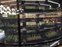 -星汇餐厅(新濠影汇店)